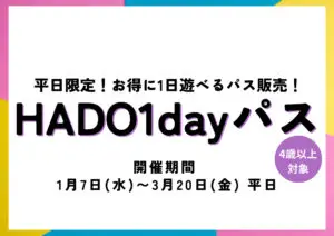 平日限定！！1dayパスプラン！！