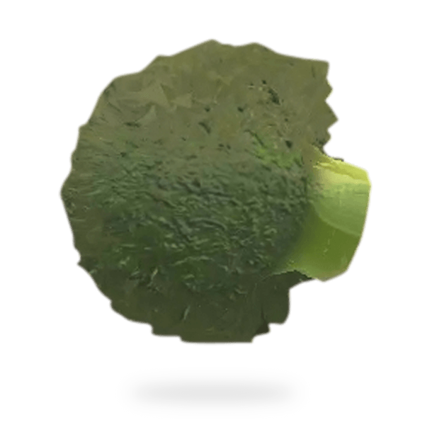 BROCCOLI