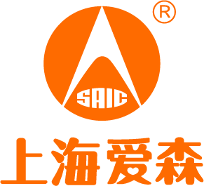 上海爱森