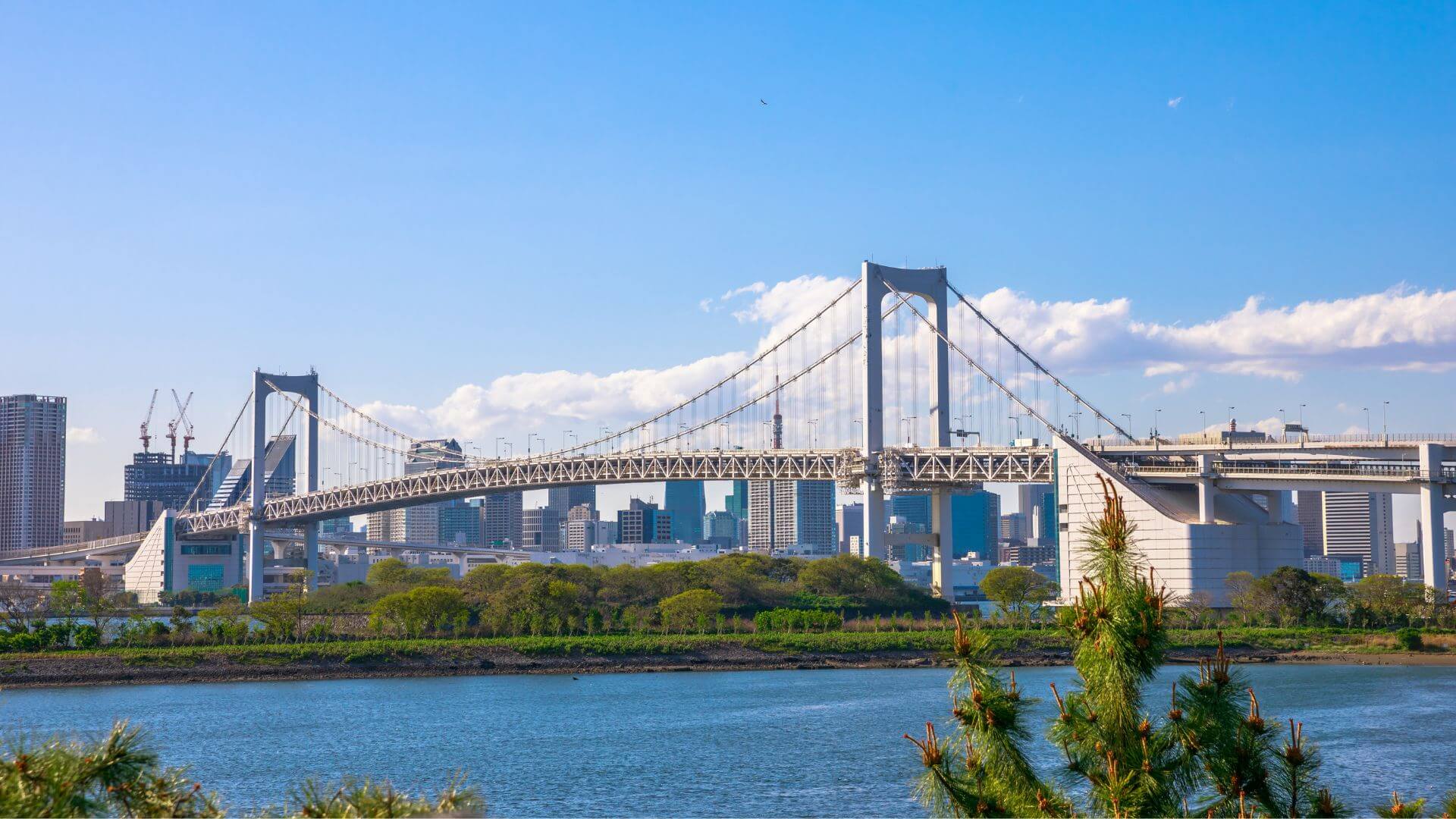 お台場・有明・豊洲エリアがイベント会場に選ばれる5つの理由