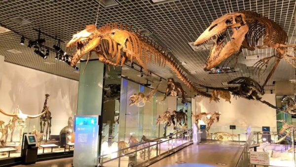 11. 国立科学博物館