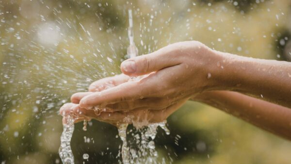 小学4年生の社会科見学におすすめの組み合わせ