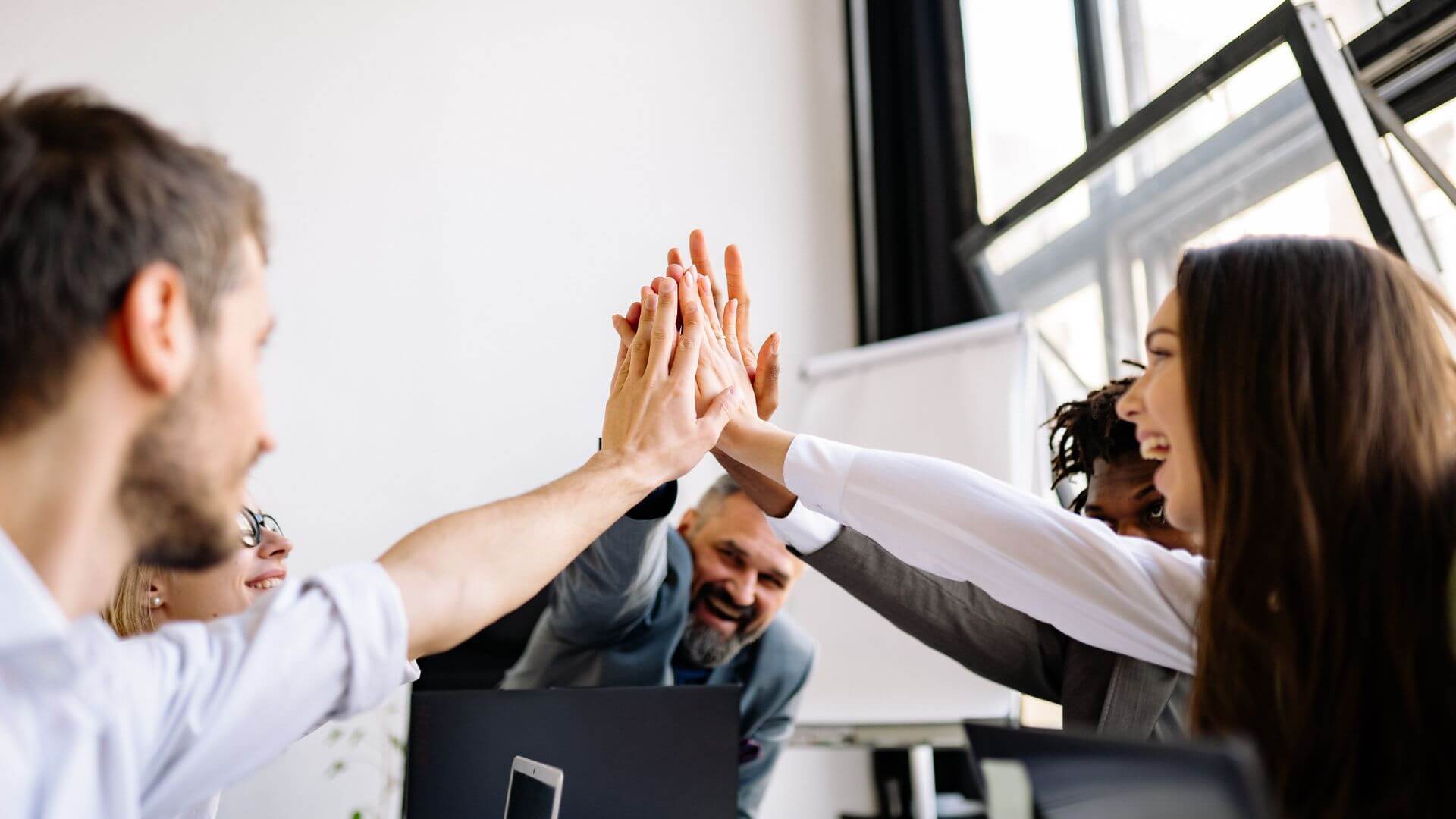 事例から見える成功の共通点